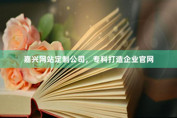 嘉兴网站定制公司，专科打造企业官网